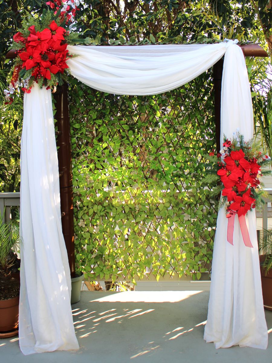 Poinsettia Arch Flowers, For the Holidays / Christmas season